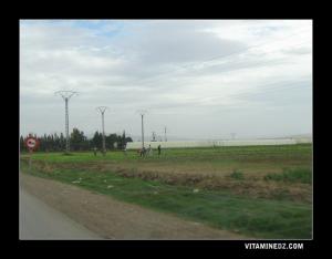 Agriculture à El Abania ex Carnot