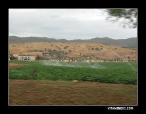El Amra Zone d'agriculture