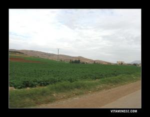 Mekhatria, zone fertile