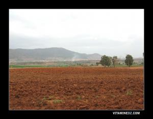 Mekhatria zone très fertile
