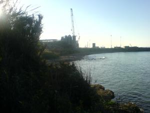 Destruction de la nature