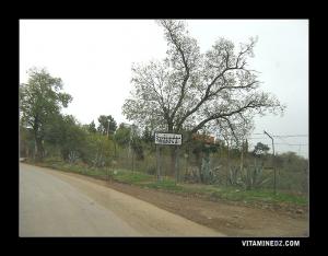 Entrée ouest de Miliana