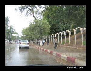 Miliana Boulevard principal