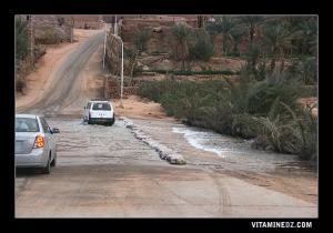 Oued La Saoura traversant Kerzaz