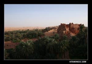 La palmeraie et les ksour de Guentour