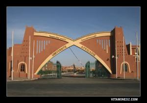 Université africaine à Adrar