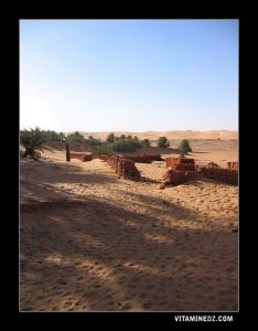 Ruines de Ksar à Tala