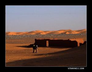 Ruine de Ksour à Tèla