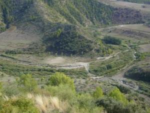 غابات بلدية  المروج  11