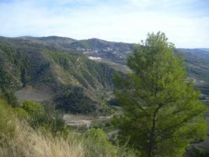 غابات بلدية  المروج  15