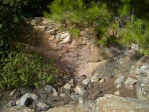 غابات بلدية  المروج  17