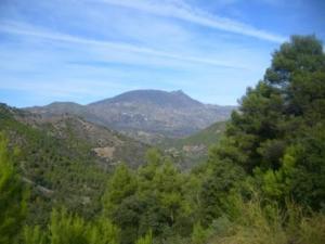 غابات بلدية  المروج  22