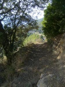 منظر خلاب من ضواحي بلدية المروج