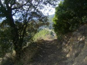 منظر طبيعي بضواحي بلدية المروج