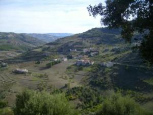 منظر طبيعي بضواحي بلدية المروج (1)