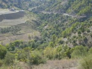 منظر طبيعي بضواحي بلدية المروج (4)