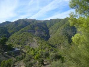 منظر طبيعي بضواحي بلدية المروج (6)