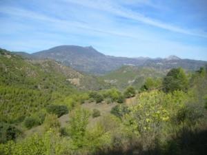 منظر طبيعي بضواحي بلدية المروج (8)