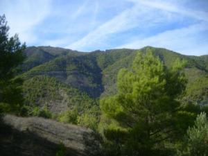 منظر طبيعي بضواحي بلدية المروج (10)