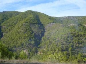 منظر طبيعي بضواحي بلدية المروج 3