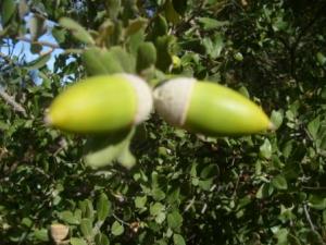 منظر طبيعي بضواحي بلدية المروج 5