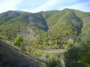 منظر طبيعي بضواحي بلدية المروج 9