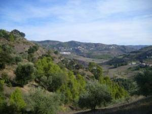 منظر طبيعي بضواحي بلدية المروج 12