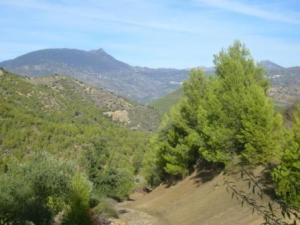 منظر طبيعي بضواحي بلدية المروج 14