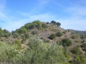 منظر طبيعي بضواحي بلدية المروج 16