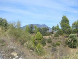 منظر طبيعي بضواحي بلدية المروج 17