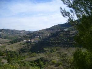 منظر طبيعي بضواحي بلدية المروج 18