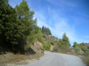 منظر طبيعي بضواحي بلدية المروج 21