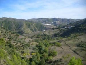 منظر طبيعي من بلدية المروج 1