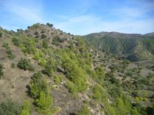 منظر طبيعي من بلدية المروج 2