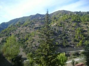 منظر طبيعي من بلدية المروج 9