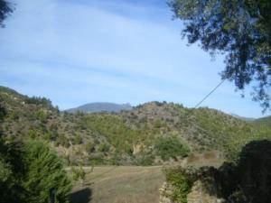 منظر طبيعي من بلدية المروج 10