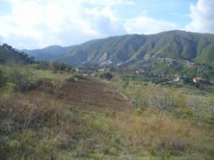 منظر طبيعي بضواحي بلدية  المروج