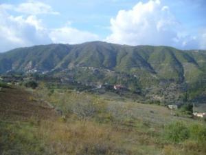 منظر طبيعي بضواحي بلدية  المروج  1