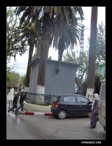 موقع منبع 'الأسد'