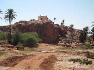 صورة من ضواحي واحة  تيوت