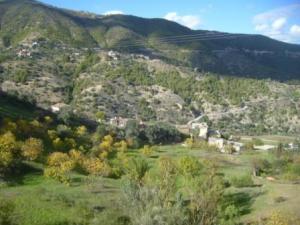 منظر طبيعي بضواحي بلدية  المروج  30