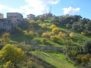 منظر طبيعي بضواحي بلدية  المروج   2