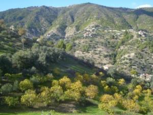 منظر طبيعي بضواحي بلدية  المروج   4