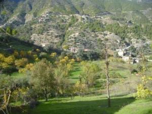 منظر طبيعي بضواحي بلدية  المروج   6