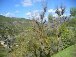 منظر طبيعي بضواحي بلدية  المروج   7