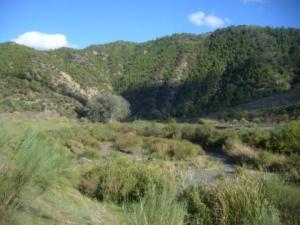 منظر طبيعي بضواحي بلدية  المروج   8