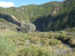 منظر طبيعي بضواحي بلدية  المروج   9