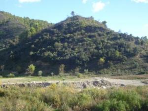 منظر طبيعي بضواحي بلدية  المروج   10