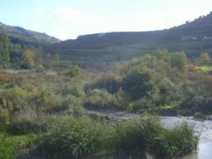 منظر طبيعي بضواحي بلدية  المروج   11