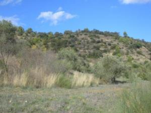 منظر طبيعي بضواحي بلدية  المروج   12